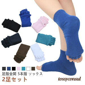 fB[X Zs[\bNX O C \bNX w C wSJ \bNX w Y w 5{w 2Zbg L ނ݉ ₦΍  wT|[^[ ܐ }bT[W 