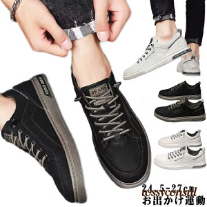 C  Xj[J[ Y ^ Vv y d V[Y ʊw zCg ʋ JWA wZ y