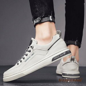 V C  Xj[J[ Y ^ Vv y d V[Y ʊw zCg ʋ JWA wZ y