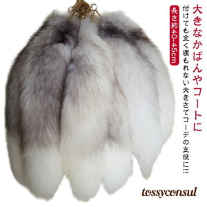 40 `[ L[z_[ t@[ obO`[  12 O[ 45 ANZT[  O[ K 