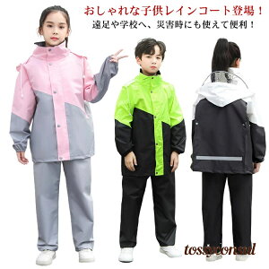 AEghA WjA CEFA Zp[g qp ъԊwZ R ㉺ CR[g CX[c LbY