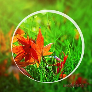 V fB[X  Vዾ y y  Vዾ jp [fBOOX VjAOX u[CgJbg Vዾ