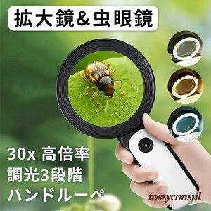 12LEDCgt 莝[y [y 3iK g僌Y ₷ { [y ዾ 30{ LEDCgt g勾 {