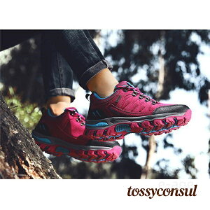 V y ~ h ^C nCLO EH[LO AEghA X|[cV[Y St Xj[J[ oRC fB[X