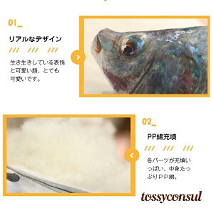 100cm ObY  av[g G ʔCeA 킢 \t@[NbV ܂   A