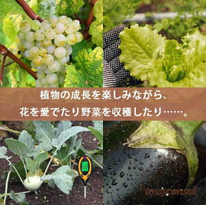 V pHv y[n[ g fW^ @\ A琬 S ͔| ƒ؉ | _x  ph }` y_xv 4in1