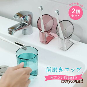 uX[p[SALEzv yJ[Iׂ2ZbgzRbv ؂  vX`bN R  ^u[  Rbv uV [ ؂ X^h}O  6.3x7.6x