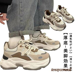 Ȃ R ₷ Xj[J[ fB[X ꂢ 5cmq[ t ^C ~ [XAbv l L _bhXj[J[ b ʋ x[W   ʋ 20 30 40 50 