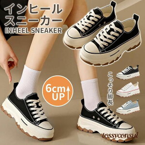 uX[p[SALEzv Xj[J[ Xj[J[ fB[X vbg [JbgXj[J[ ʋ ʊw Cq[ fB[XV[Y r r