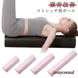 Xgb`p|[ a15cm O GNTTCY|[  90cm Zbg|[ 45cm 30cm 60cm tH[[[ ؖ[[ y ̊g[jO K|[