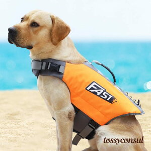 V p CtWPbg  ~ ^ ^ t[eBOxXg CtWPbg   dJt nht C  V v[ V C SUP Tbv 