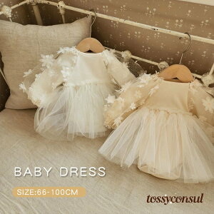 uX[p[SALEzv  킢 Ԃ ~ H  ԕ `[ q LbY xr[ s[X ̎q Zj[hX xr[