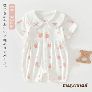 uX[p[SALEzv V  q 킢 xr[ p[X OJ Ԃ ̎q ݂    t V xr[