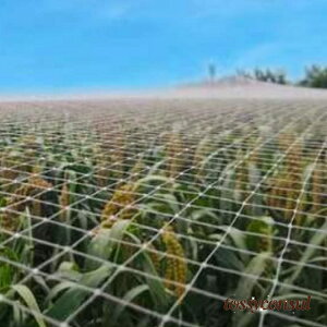 V hlbg 悯lbg h 悯 3x20m 3x10m 5x10m  h _앨  ʎ ʕ c x_ S~u ng悯 悯 L JX qh lbg x