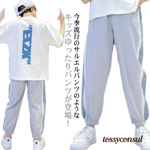 uX[p[SALEzv ڐG⊴f C ⊴pc q LbY 160 W[W ̎q XEFbgpc Y{ n  WjA  j̎q JWA  ʋC _