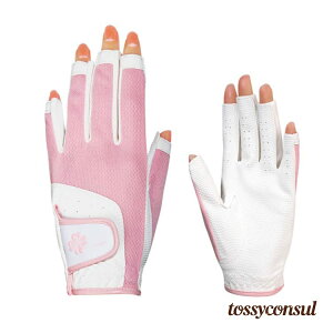 V lCJbg bV O[u  v St lCJbg UVJbg wJbg Stpi StO[u  lC t  fB[X