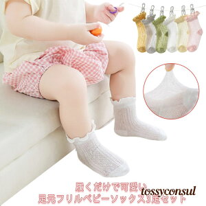 uX[p[SALEzv 3Zbg xr[\bNX bV\bNX ėp V \bNX ̎q  Et V[g\bNX LbY C q Rbg  킢  xr