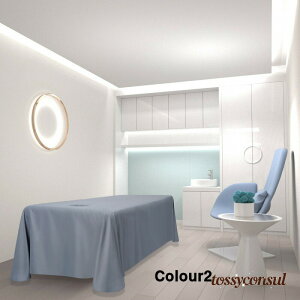 V T xbh Jo[ }bT[W V[c GXexbh T LE 290×180cm ċzt xbh V[c ʋC }bT[WxbhJo[ n }bgX Jo[ 􂦂 }bT[