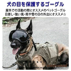 V ybgS[O S[O ybg.  L S[O  UVJbg O O΍ p pS[O ڂی hbOS[O TOX ybgTOX Kl Lb