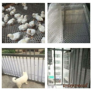 V ]h~lbg  肷p x_ Ki h~ Ki]h~lbg S΍ Slbg q x_lbg  ]h~ ړI ybg Eh~ hƃlbg h