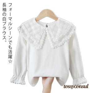 uX[p[SALEzv OJ uEX TVc zCg LbY  ۋ Rbg Vc t rbNJ[ n  Vc ̎q q tgbvX ؂₩   L