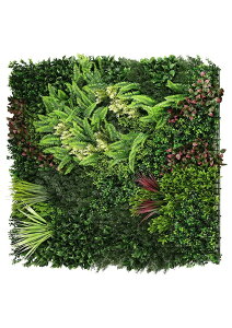 tFCNO[ moreleaf A[t ǖ 4gyorientalBzlHϗtA ϗtA   A t ȒP Ǌ| A ANZg fR[V  CeA G ǖʗΉ