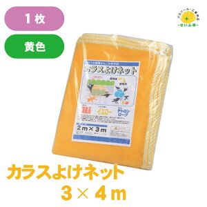 JX  ng  悯  x_ z  lbg  S~ Qb QyJX悯lbg@3×4mz