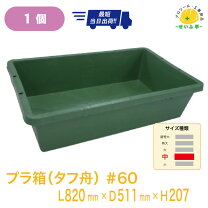 楽天市場】トロ舟 60の通販