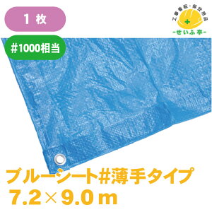 u[V[g TCY i [  J[ 傫yu[V[g #^Cv 7.2m×9.0m 1 ngtz