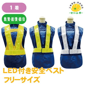 LEDtSxXg ( EE ) 1