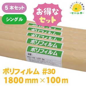 yȃZbgz|tB {V[g |V[g [  h     |G`tBy|tB #30@5{Zbg 1800mm×100m VOz