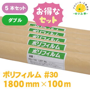 yȃZbgz|tB {V[g |V[g [  h     |G`tBy|tB #30@5{Zbg 1800mm×100m _ui2܁jz