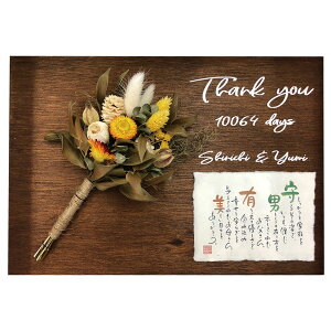 hCt[^Cv O |G  e i v[g j EFJ{[h EFfBO X^[`X Vo[fCW[ wNT o  Mtg O  җ 