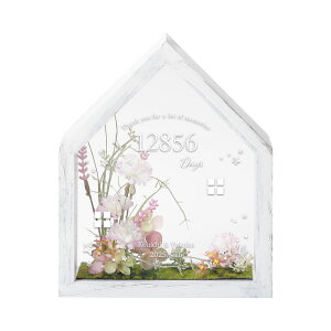 E i`/AeB[NzCg 24.3×20cm tHgt[  LO  I ev[g  ԕis LZs[JP041-046]yNE2z
