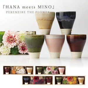 y[EUEt[ HANA meets MINO     Z yAJbv D g 250ml  e i Mtg v[g  LO җ  jyԕisz[J-Q005 J-Q006 