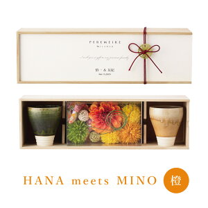 y[EUEt[ HANA meets MINOijZ yAJbv D I 250ml  e i Mtg v[g  LO җ  jyԕisz