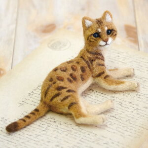 xKiLbgj |LbgitFgj n}iJ nhCh tFgr lR L cat }XRbg ݂̂肢