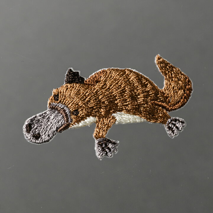 楽天市場 Who Are You カモノハシ ハマナカ ワッペン アイロン 接着 動物 生き物 手芸用品 刺繍 手作り 入園 入学 アップリケ ゆうパケット対応 Fanmary ファンメアリー
