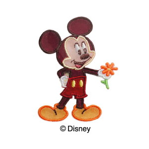 fBYj[ ~bL[}EX by 4.5×6cm AbvP AC |pi hイ hJ  LbY q w  Mickey Disney MY5502 MY328 䂤pPbgΉ yp