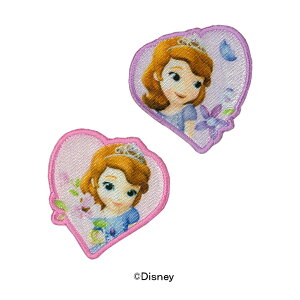 fBYj[ ȃvZX\tBA by 1F3.4×3.6cm AbvP AC V[ |pi hイ hJ  LbY q w  Disney 䂤pPbgΉ yp