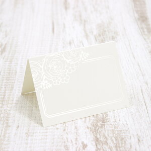 OCXIW ȎD Ȃ 100Zbg  I p[eB[ H  l[ v[g ^O  O J[h y[p[ACe EFfBO uC_ ev[g  