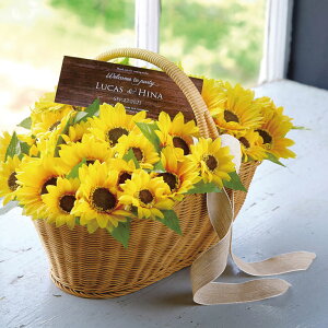Soleil \C 40{Zbg t v`Mtg   EFJIuWF G    CG[ EFfBO p[eB[ 񎟉 Mtg o  Ԃyԕisz