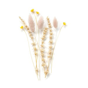 ǉpt[ 10{ x[WsN AbVu[ Vygt[ ؖ QXgQ^ hCt[   킢   I uC_ l nE