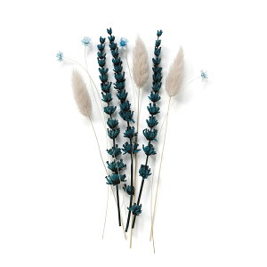 ǉpt[ 10{ x[WsN AbVu[ Vygt[ ؖ QXgQ^ hCt[   킢   I uC_ l nE