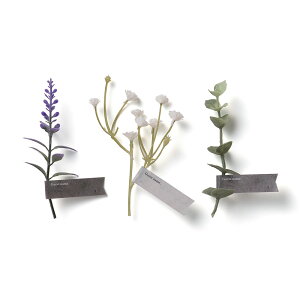 t[K[h{[hǉpt[^Oi5{j EFJ{[h EFfBO  QXgQ^ 񂹏 uC_ LOi  I 񎟉 p[eB[ EFJXy