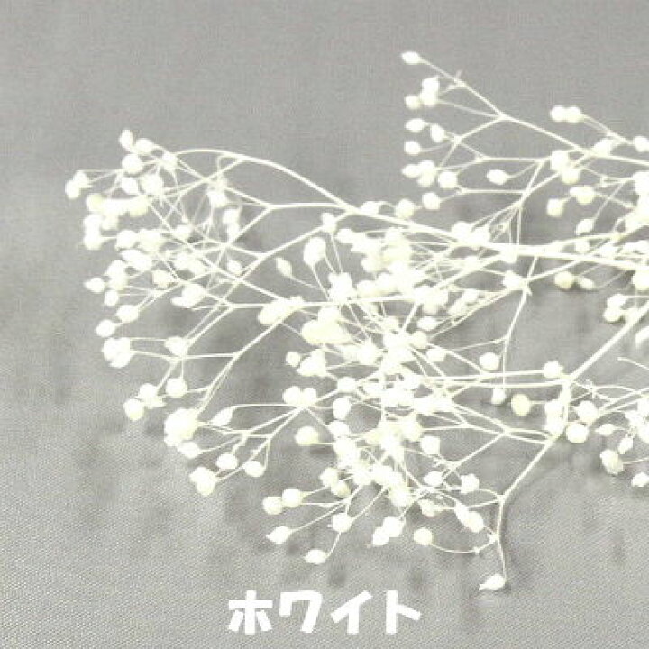 楽天市場 カスミソウ 各色 ハーバリウム 花材 かすみ草 かすみそう カスミソウ フラワーアクアリウム ボタニカル キャンドル プリザーブドフラワー アロマ アロマワックスバー トータルフラワーズショップ