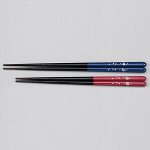 ԁ@e10V@150-10054-01.02(Z1164-69.70)  ͂ ؐ 10V 21cm 23cm { aH a HX   Xg ze  wZ { a@ { ۈ牀 H@Ή Ɩ