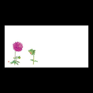 ㎿茳}bg@_A(6`10)@201-30103(Z115-491)e[u}bg `}bg }bg  y[p[ y[p[}bg { 26.5×13cm 200 ĝ ĝă}bg a 