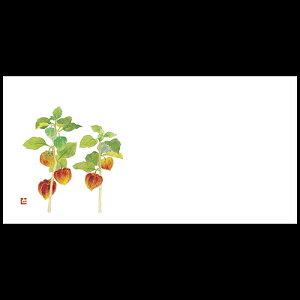 ㎿茳}bg@ق i7E8j@201-30060(Z115-497)e[u}bg `}bg }bg  y[p[ y[p[}bg { 26.5×13cm 200 ĝ ĝă}bg a 