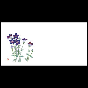 茳}bg@傤i8E9j@201-30065(Z115-507)e[u}bg `}bg }bg  y[p[ y[p[}bg { 26.5×13cm 200 ĝ ĝă}bg a 